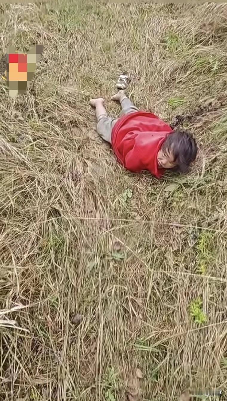 辽宁朝阳建平4岁小女孩儿丢了二十小时后在一山沟找到时，她正趴在草地上。
找到她的