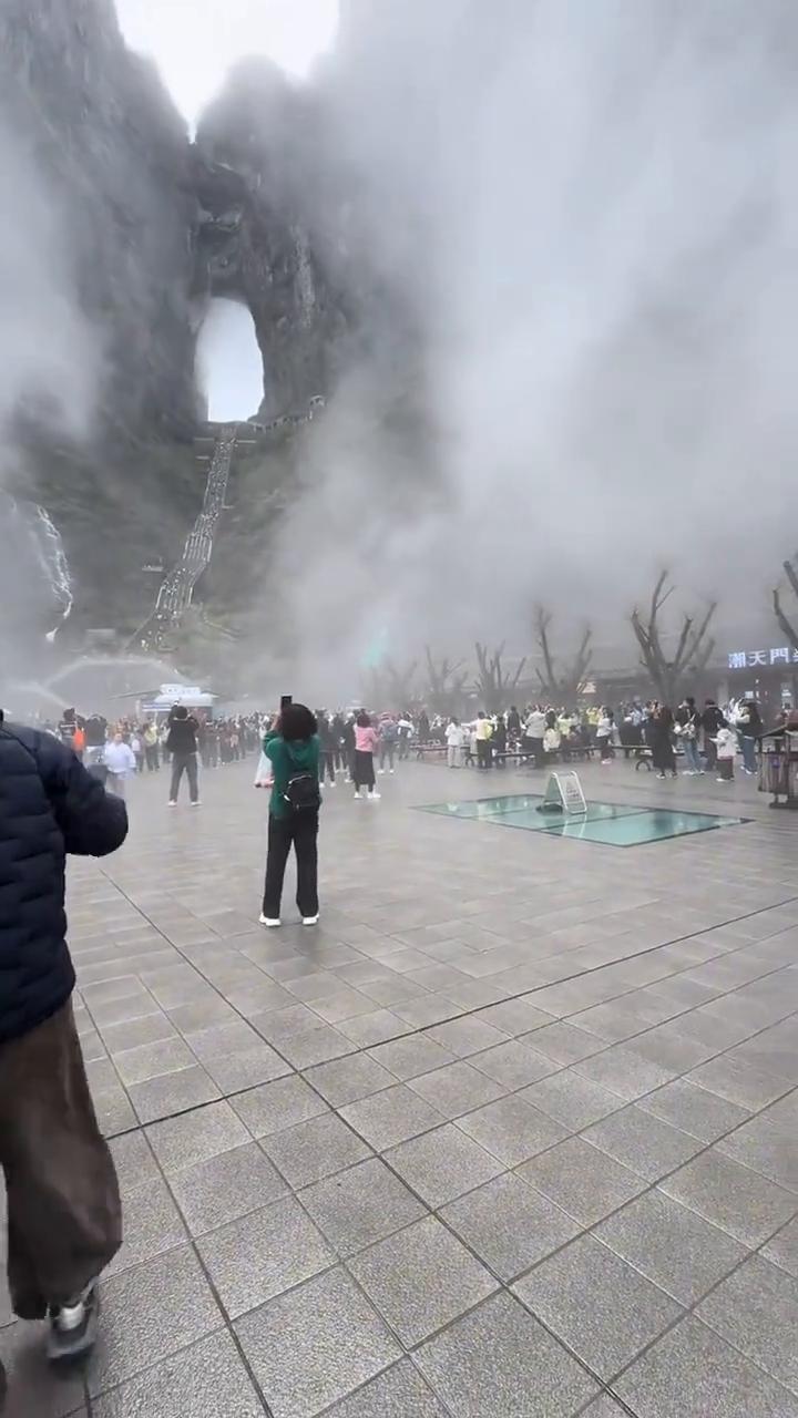 太美了，太神奇了。
