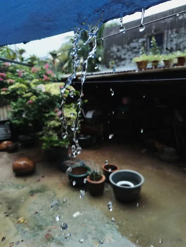 晴着晴着
突然来了一阵儿雨
赶紧把卧室里的窗户关了
雨突然停了
外面又晴了
你说