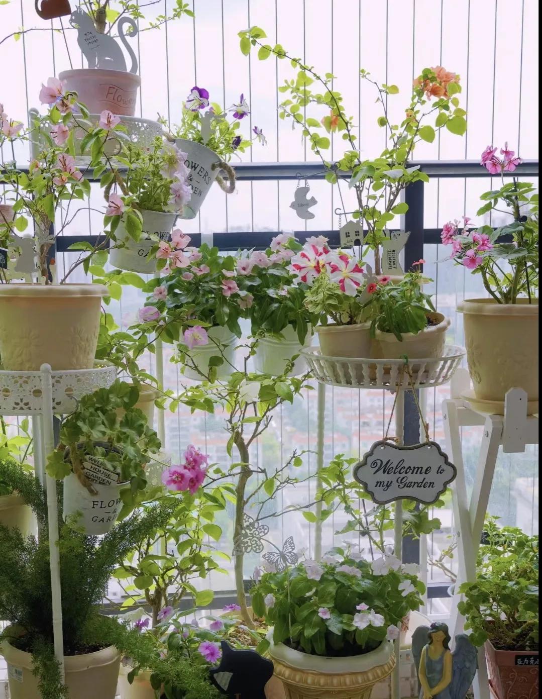 天生园丁的命
老公说
你一天不看花
都过不去

看了花
只要它们长的好，哪怕只开