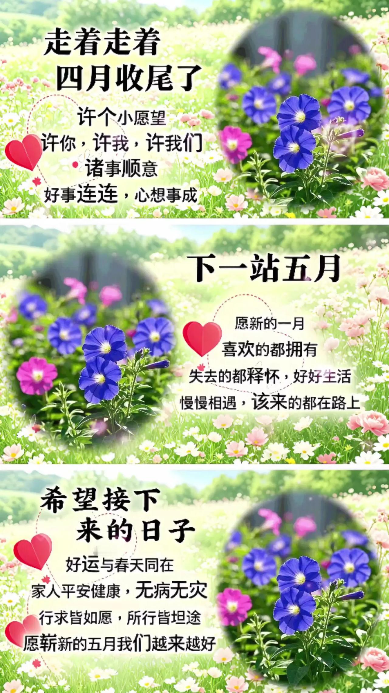 下一站五月。下一站五月，五月你好下一站五月五月你好特效拍同款上热门@生活服务