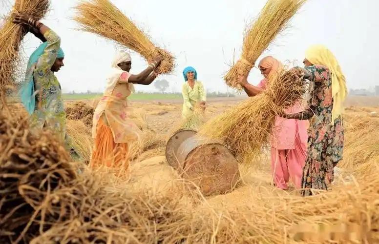 印度农民抗议印美贸易协议的浪潮持续发酵，背后藏着更深层的危机：莫迪政府一味对美妥