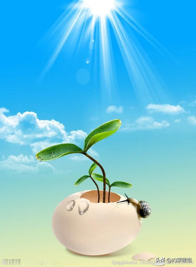 单位同事问我，上星期二十七号下午干啥了，缺勤，没签到。我愣了一下，想起来那天很冷