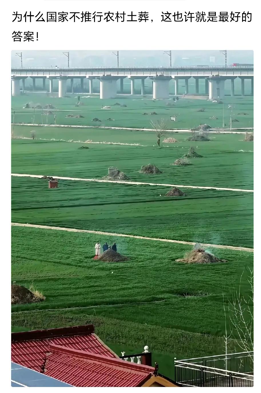 不推行农村土葬，也许就是这个原因吧？