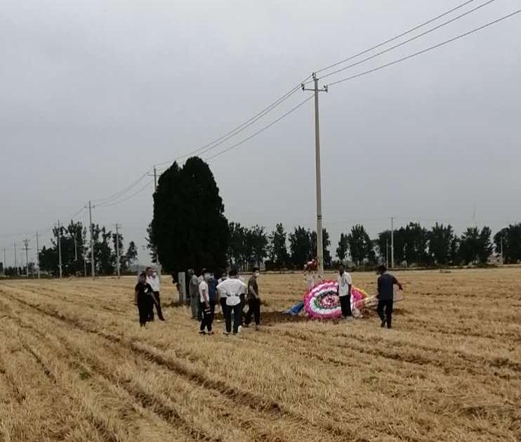 万顷残麦覆寒沙，一抔新土葬年华。
孤柏无言遮旧冢，阴云垂泪落田家。
半生漂泊德州