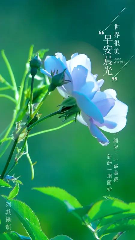 一朝相识百年缘，
一生牵挂记心间[玫瑰]，
一声问候送祝福，
一切安好到永远[玫