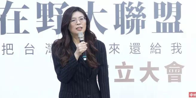 国民党前民代郑丽文号召成立「党外在野大联盟」，并于11日上午10时许举行成立大会
