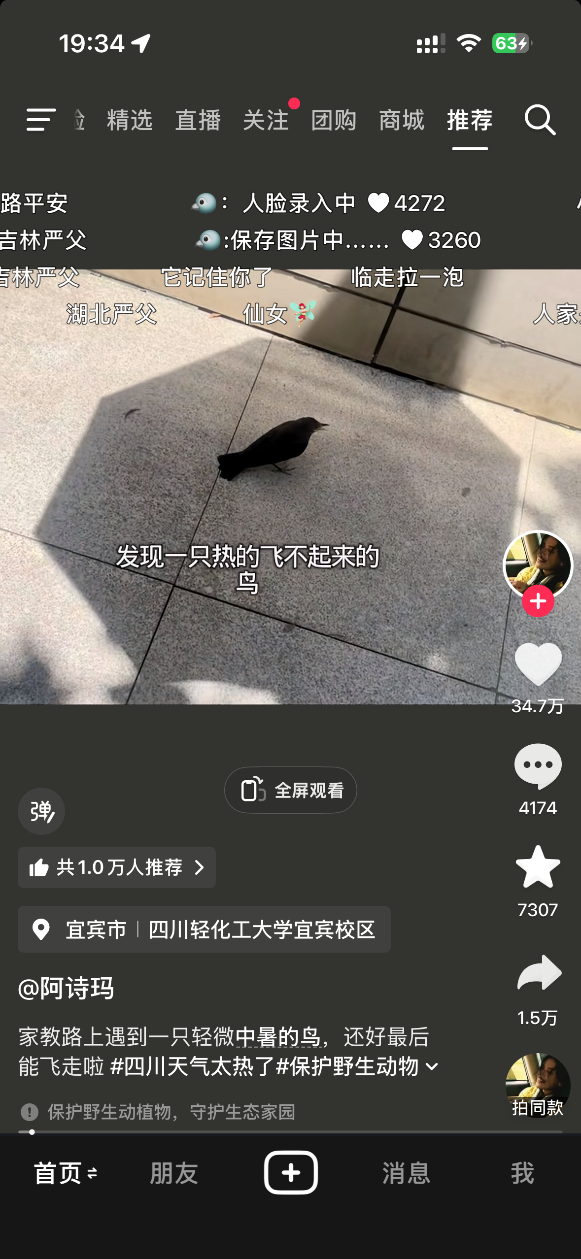 我上网就是为了看这些的 
