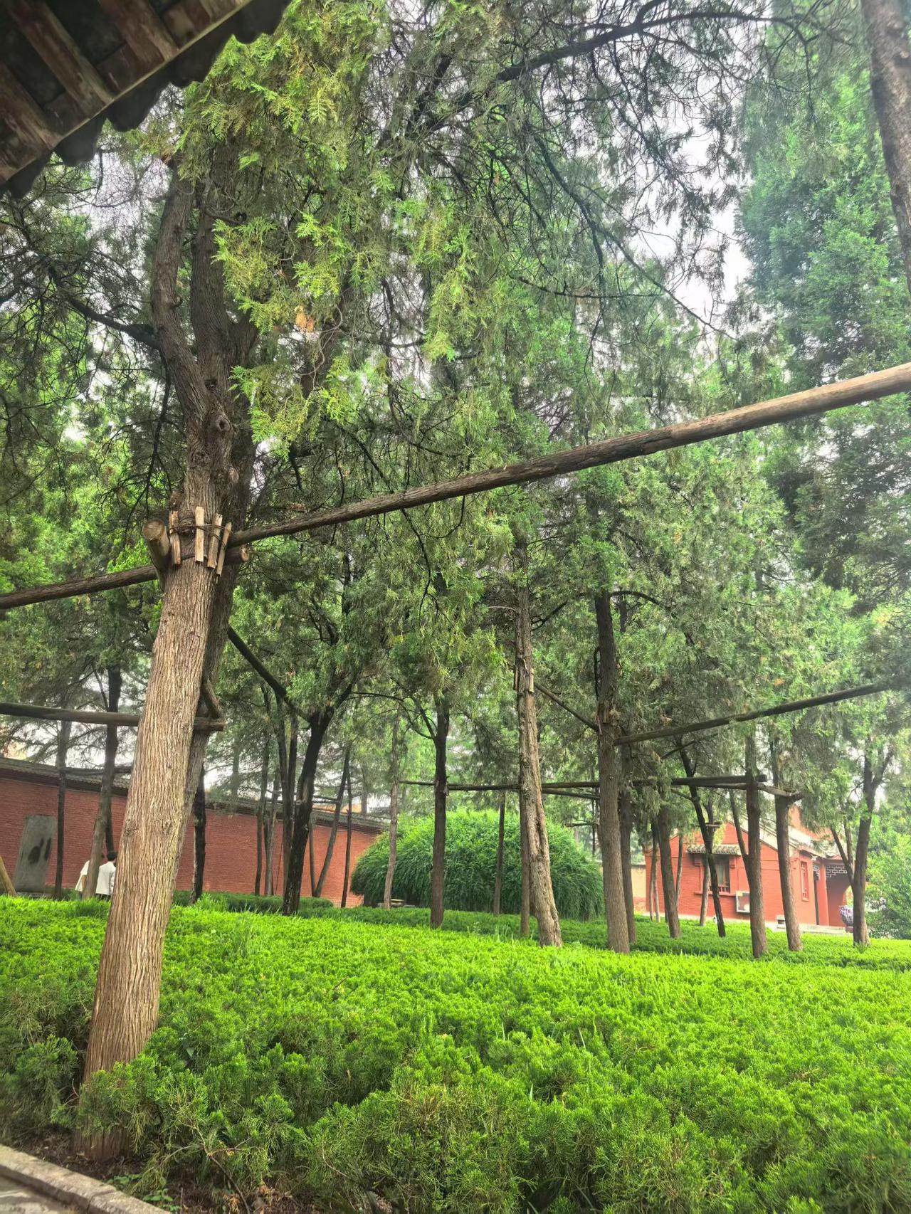 晒图笔记大赛雨天的古建红墙，檐角风铃轻晃，混着柏木的清香漫在湿冷的风里。这些被木