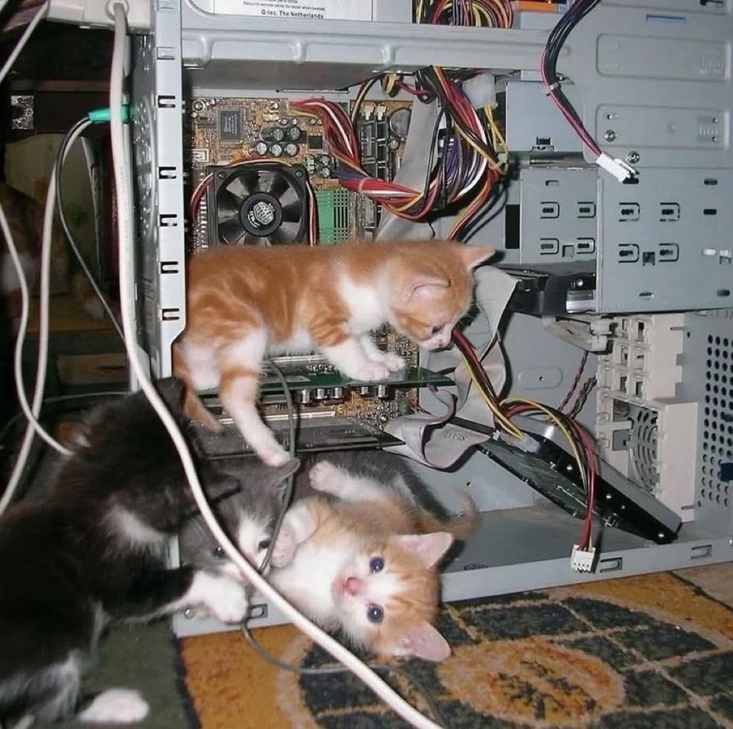 小猫帮忙修电脑 ​​​