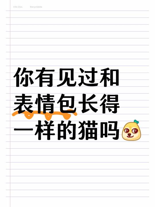 你有见过和表情包长得一样的猫吗[doge]