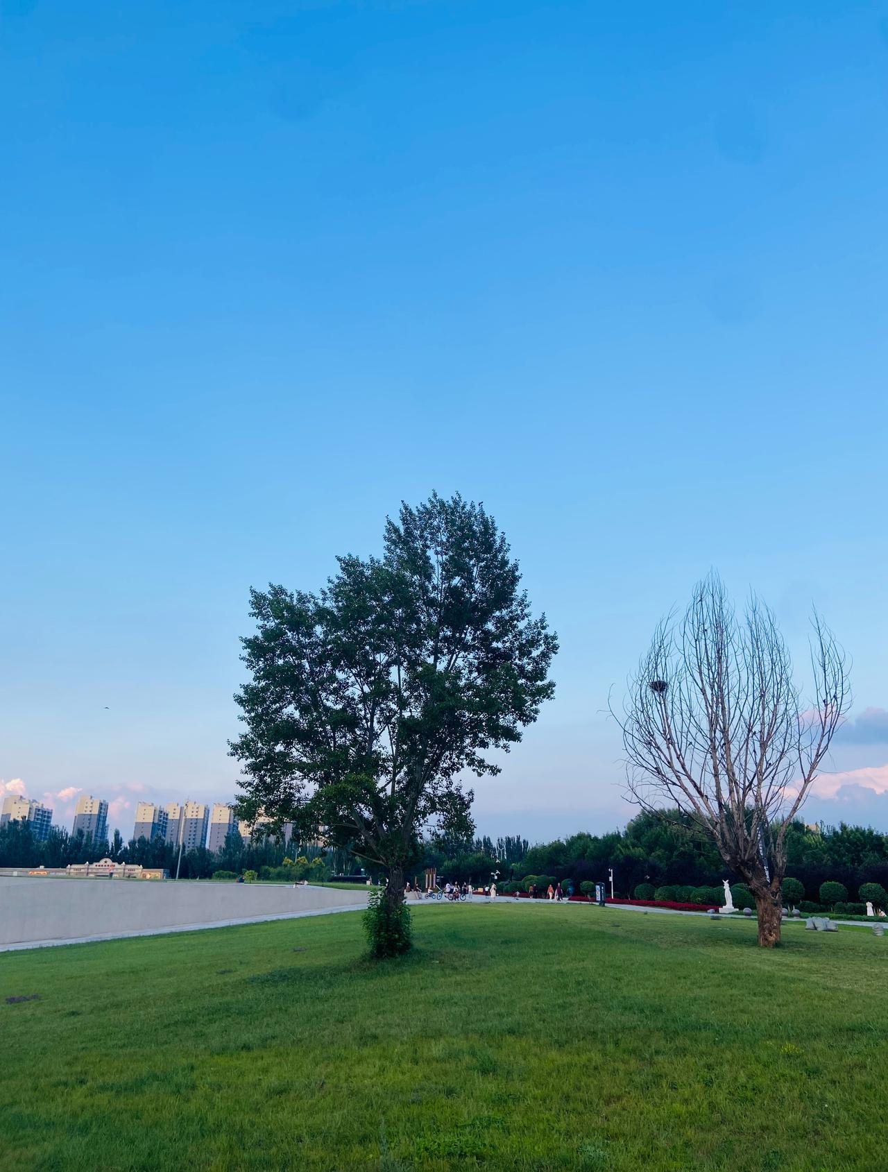 人的适应性很强
刚降温第一天，满大街羽绒棉服，大家瑟瑟缩缩、步履匆匆。
才一个星