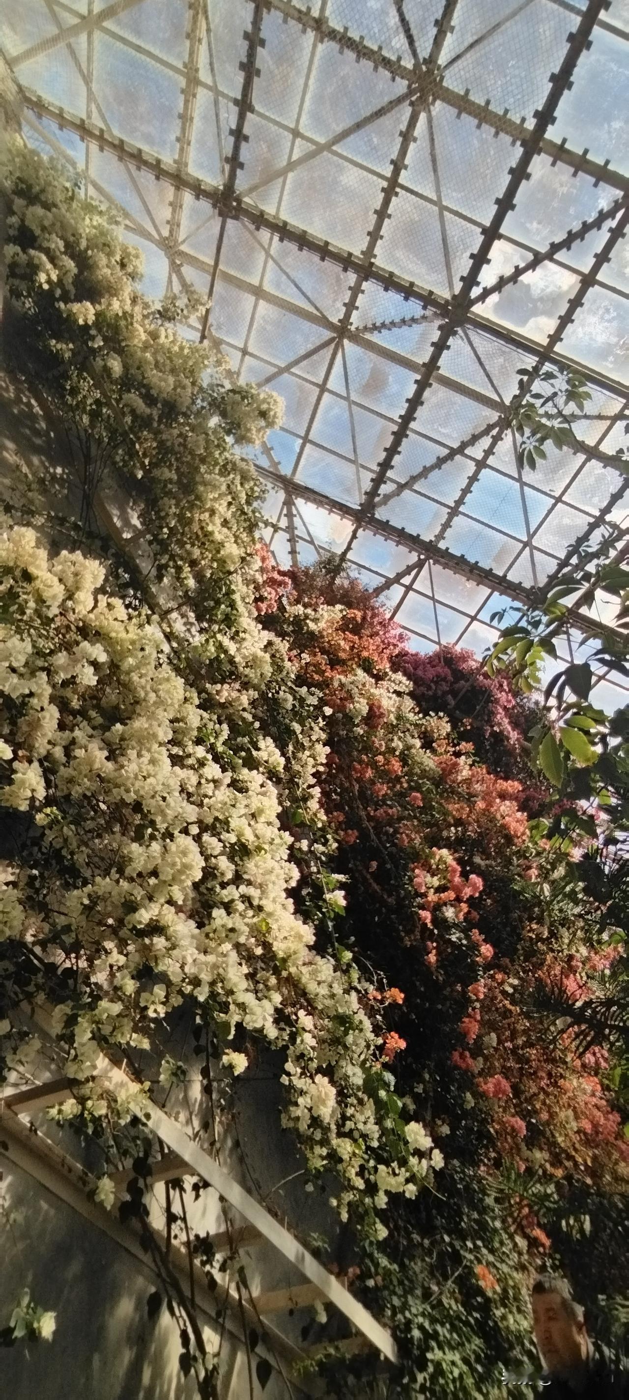 孩子的心里还是有一杆秤的。
娃跟我说他们班举行用积分换奖品的拍卖活动（积分是根据