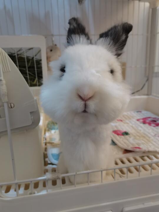 活着真的好累，有时候想一了百了