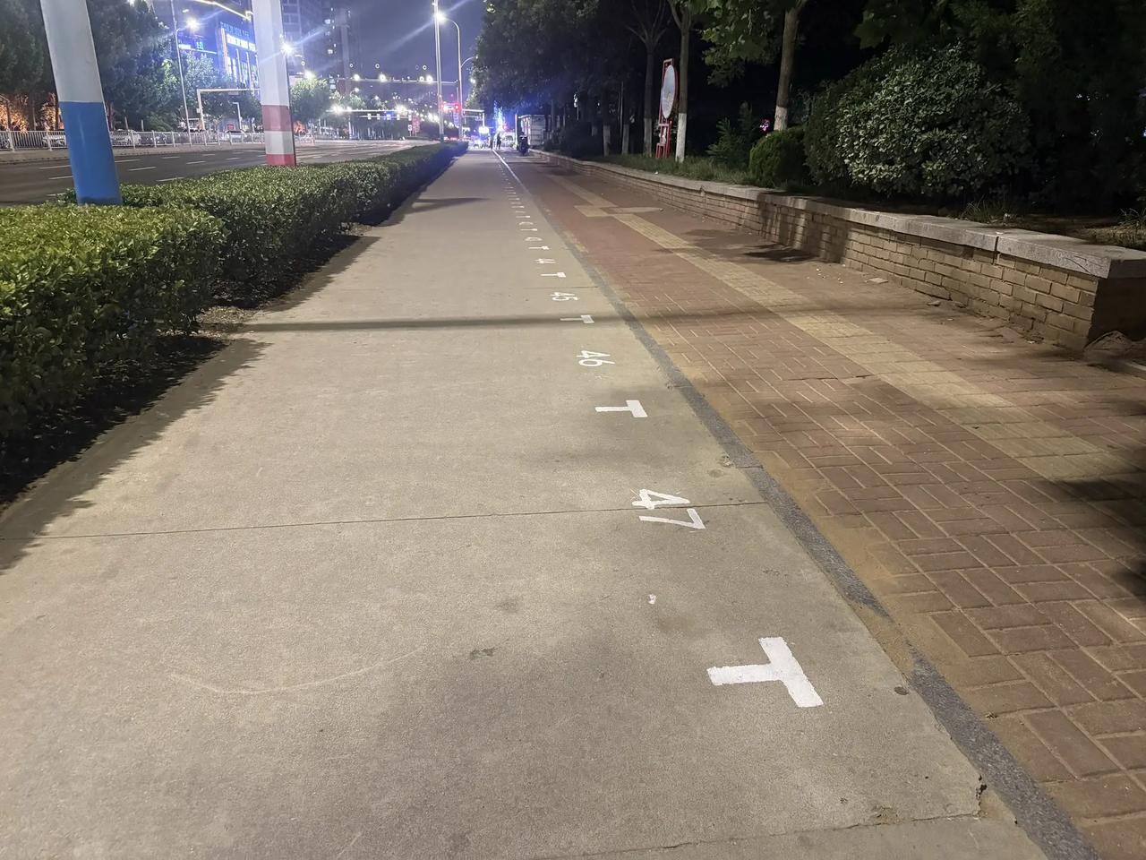 迎春大街和凤凰大街这里设专门的摊点群，我是很支持的：    首先大家都来到绿化带