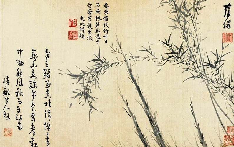 明·赵备《墨竹谱》赵备，明代宁波籍画家，号湘南，一作湘兰，鄞（今浙江宁波）人。万