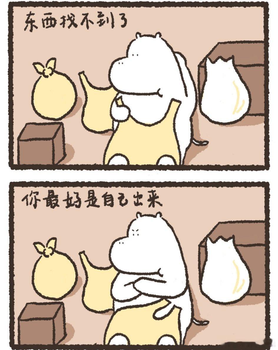 钥匙🔑找不到啦，翻遍所有东西都找不到，家里有鬼👻啊？自己飞走了？我明明开了门