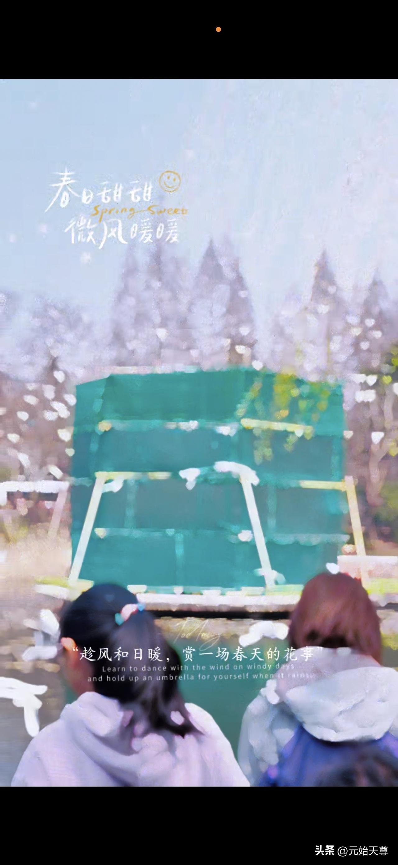 春日生活打卡季我昨天先去了青岛中山公园里的人工湖和公园里的小东湖一个海鸥也没看到