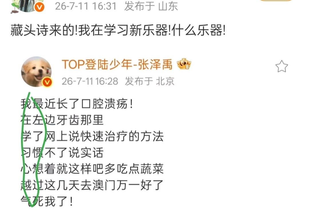 张泽禹藏头诗张泽禹微博文案是藏头诗来的✌🏻我+在+学+习+心+越+气(新乐器)