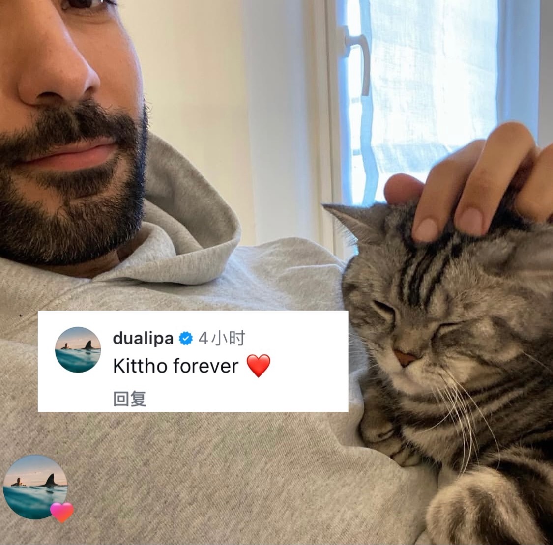 DuaLipa[超话]  Oh….no….💔嘟嘟意大利好友的猫“咪咪”今天回猫