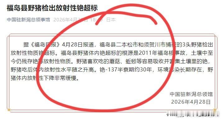我去！日本太危险了？
日本野猪竟然检测出放射性超标物质——铯！这可不得了啊，这要