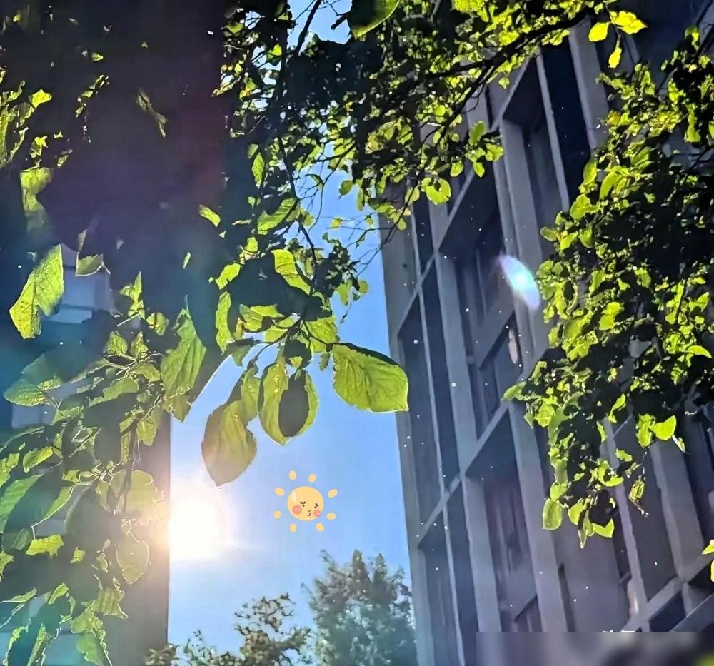 通知大家。

我去年就是吃了末伏大意的亏，当时觉得中伏20天的闷热潮气都扛过来了