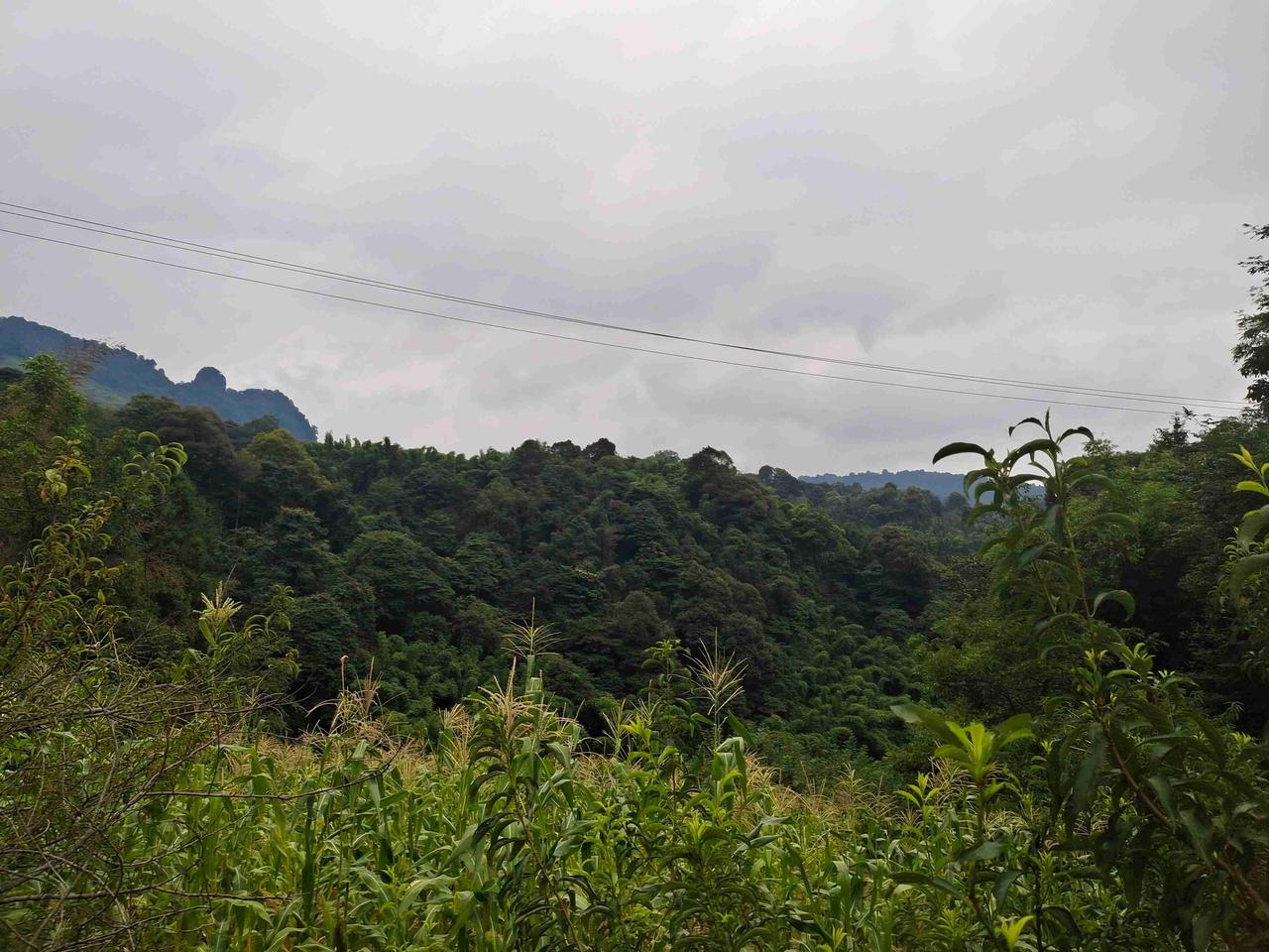 风停了，尘归尘，土归土，花落地，叶破碎，唯有纹丝不动的石头，依旧是石头。


其