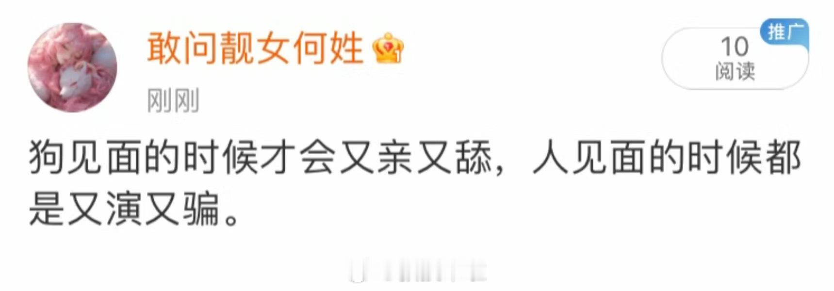 狗见面 VS 人见面 ​​​