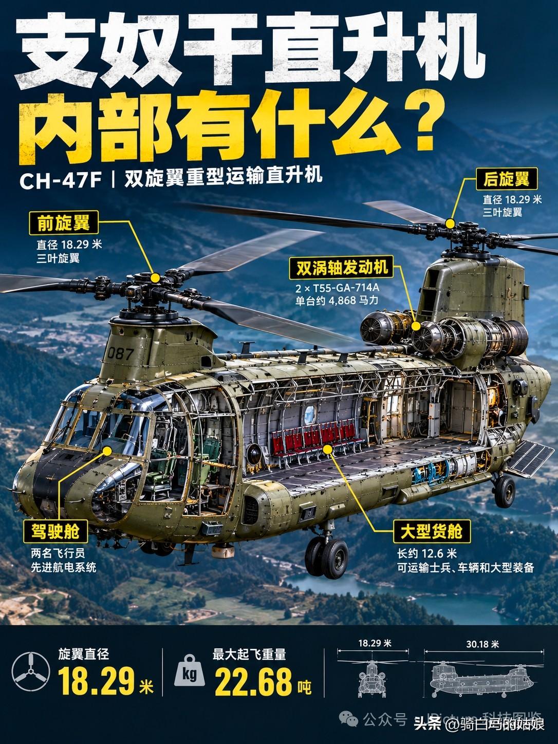 支奴干