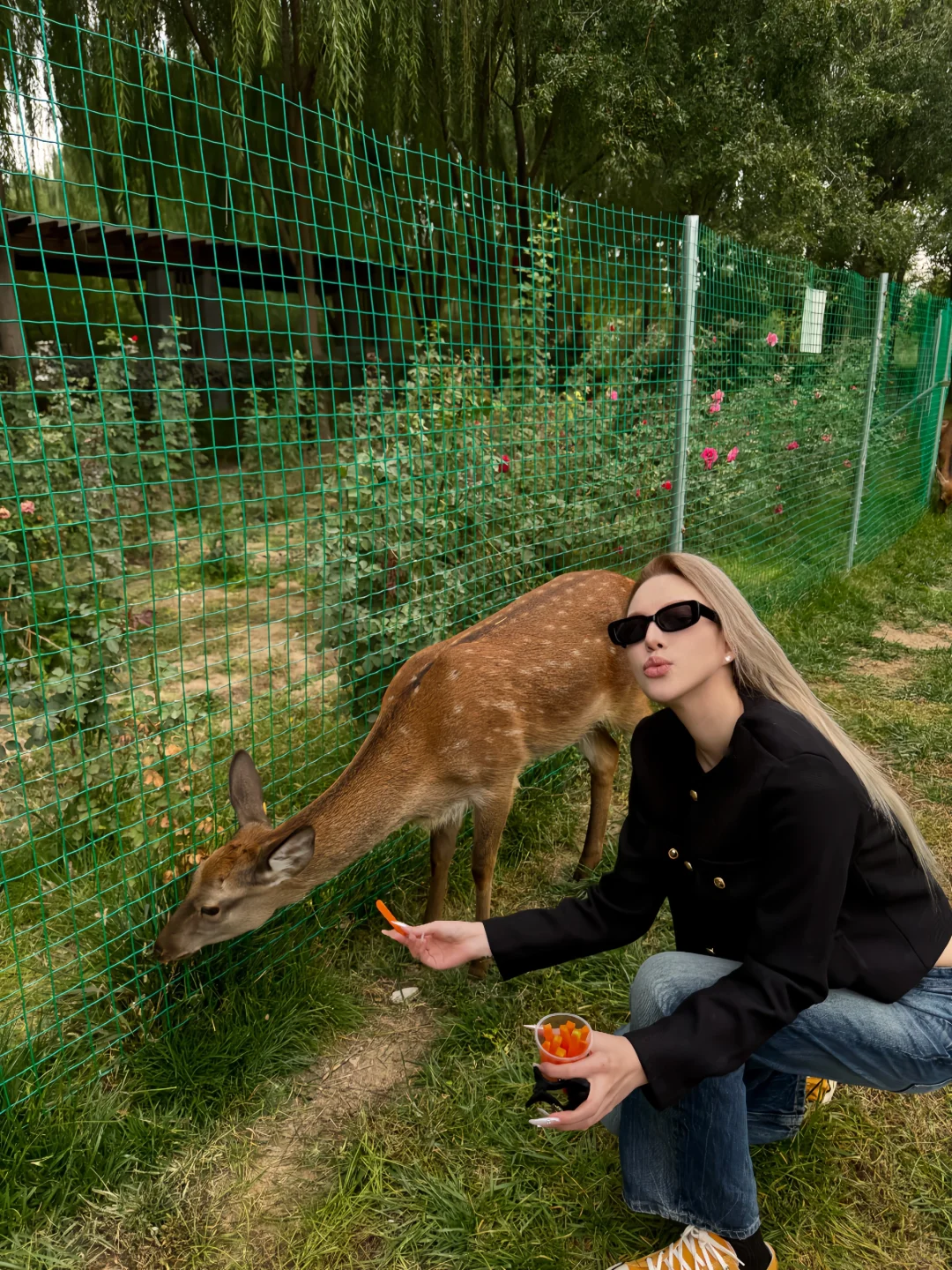 与小鹿🦌