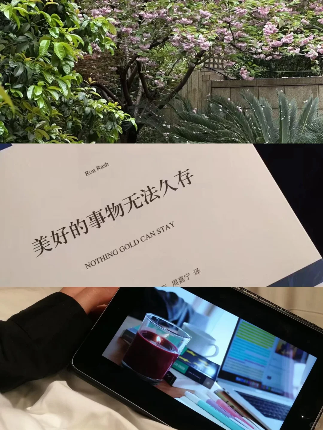 一年6.5万粉|我感受到了长期主义的力量。