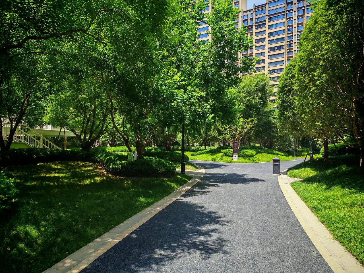 办公室楼下的林荫小道
随手一拍很出片
最近的视频都是取的外景