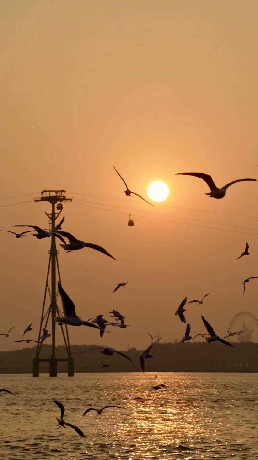 10.2 live图🐦此刻哈尔滨松花江美哭了❗️