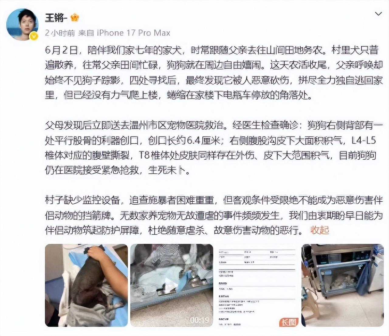 这就是典型的恶人先告状了。只说自己家的狗被砍伤了，因为村里没有监控，所以无法追究
