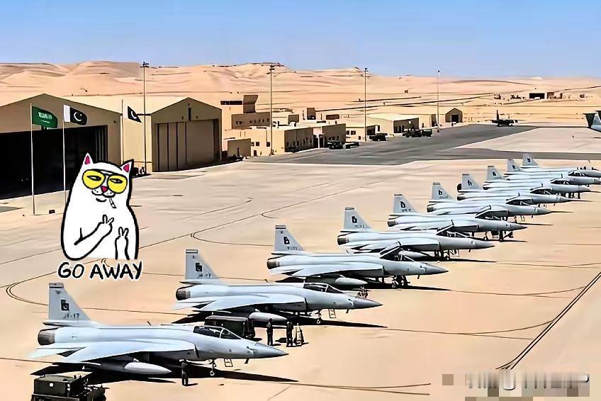 太棒了太棒了!
巴基斯坦于12日正式启用了跟伊朗的过境走廊，这下子巴铁的货想拉去