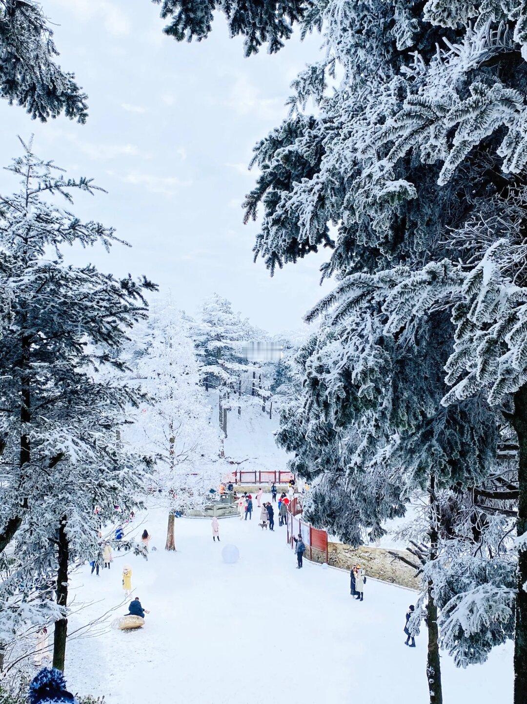 庐山人吐血整理！全网z全庐山赏雪躺平攻略