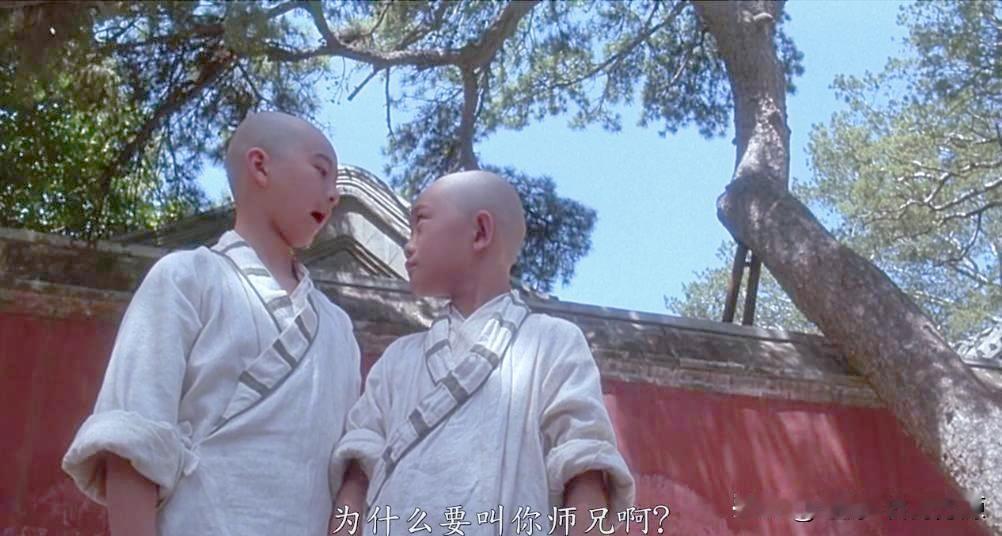 我可负天，我可负地，但我绝不负你，我的兄弟。
我忍气吞声，卑躬屈膝，终于功成名就