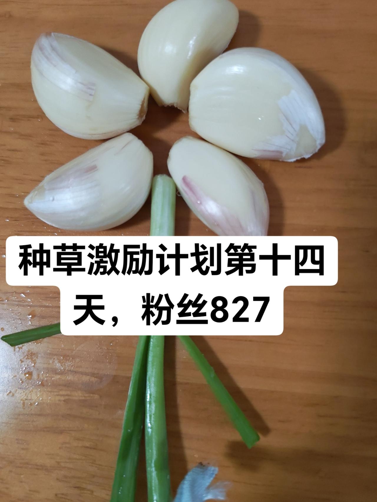 种草第十四天，很开心涨了827个粉丝