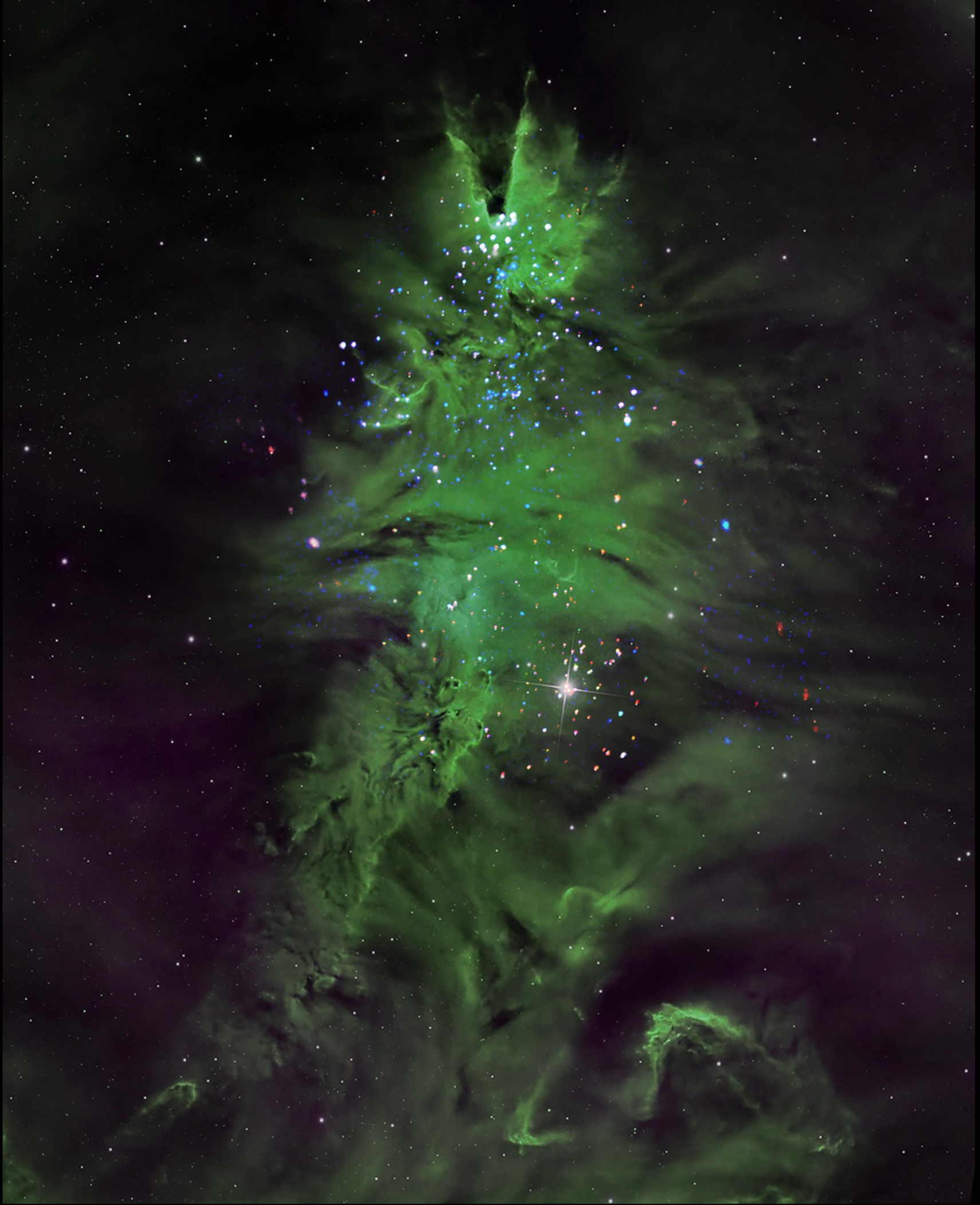 宇宙中的“圣诞树”🎄距离地球约2500光年的恒星星团“圣诞树星团”（NGC 2