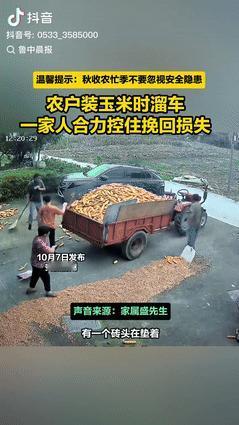 “不幸中的万幸！”安徽宿州，一大哥和家人装玉米时，拖拉机突然自主的往前驶去，众人