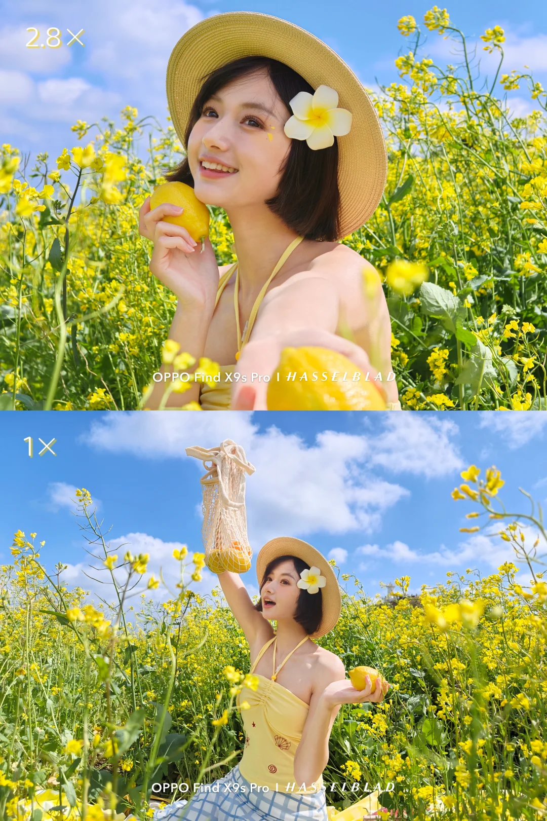 在海风里尽情自由🌼