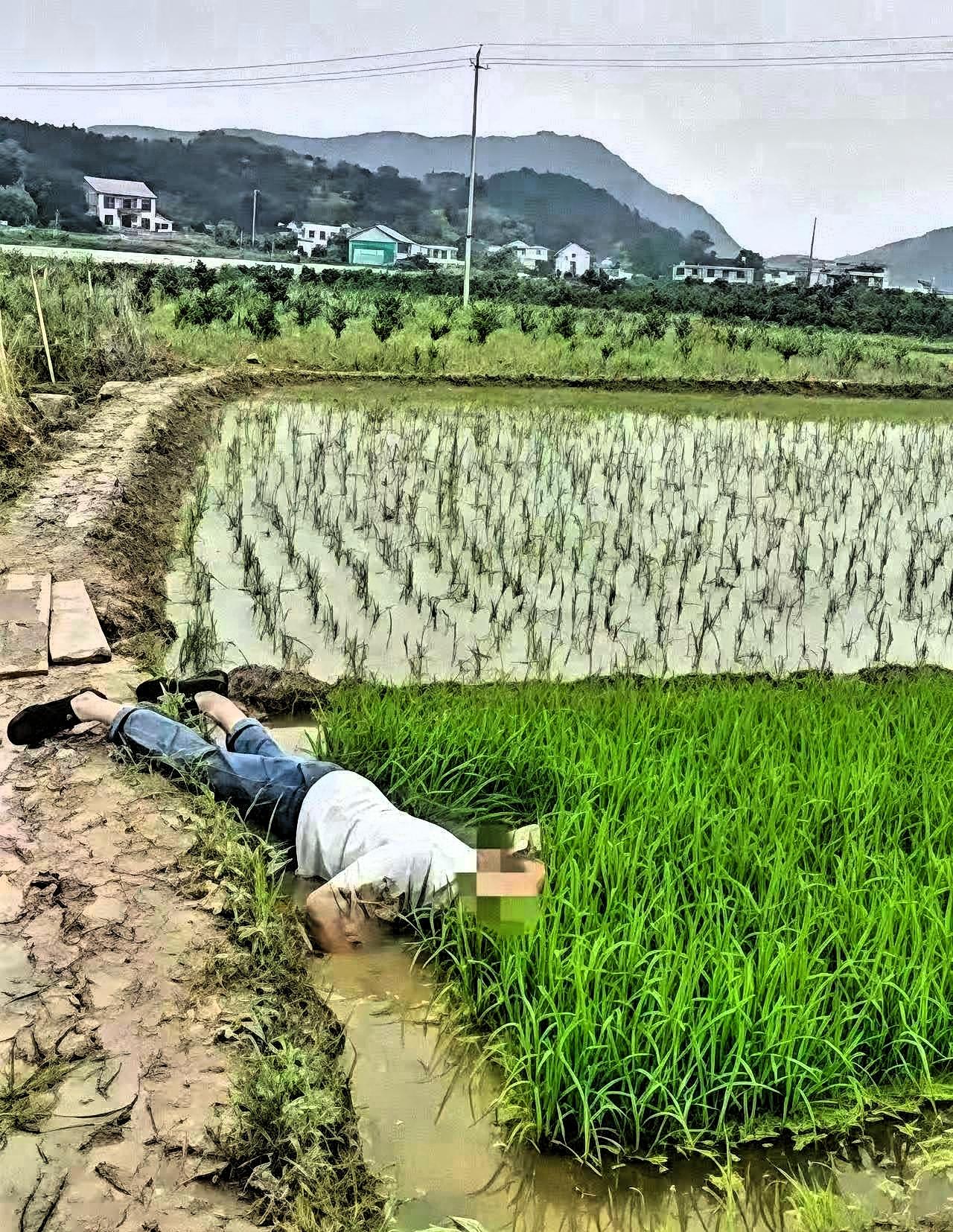 “并非谁死谁有理！”四川成都，一七旬大爷早起锻炼时，路过一片稻田，当他来到稻田边