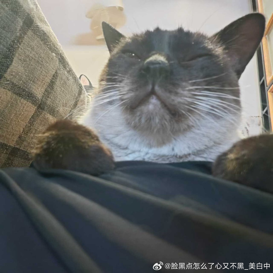 4096只黑脸世界罐罐条条小逼只管睡觉 