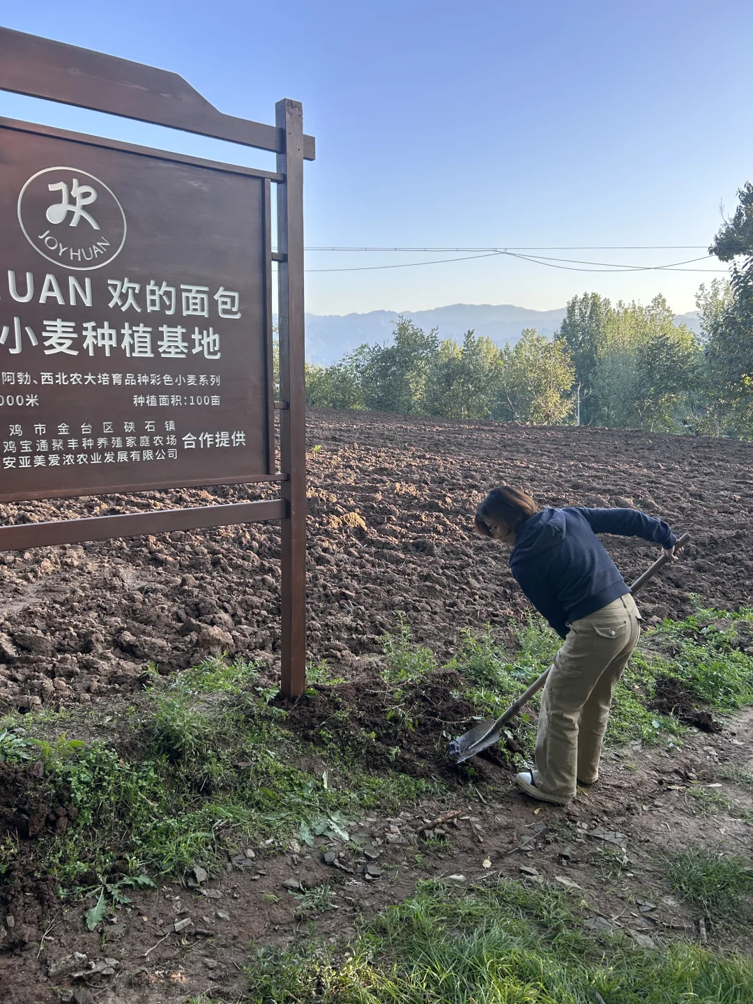 烘焙人重生之在海拔1000米的秦岭种小麦