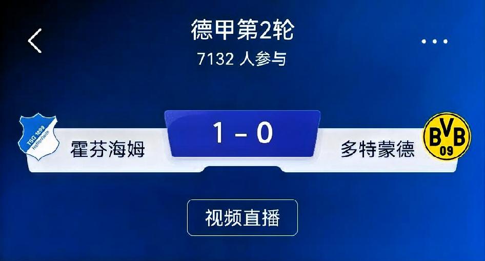 ⚠️仅观赛基本面分析，不构成投注建议，德甲第2轮：霍芬海姆 vs 多特蒙德 
 