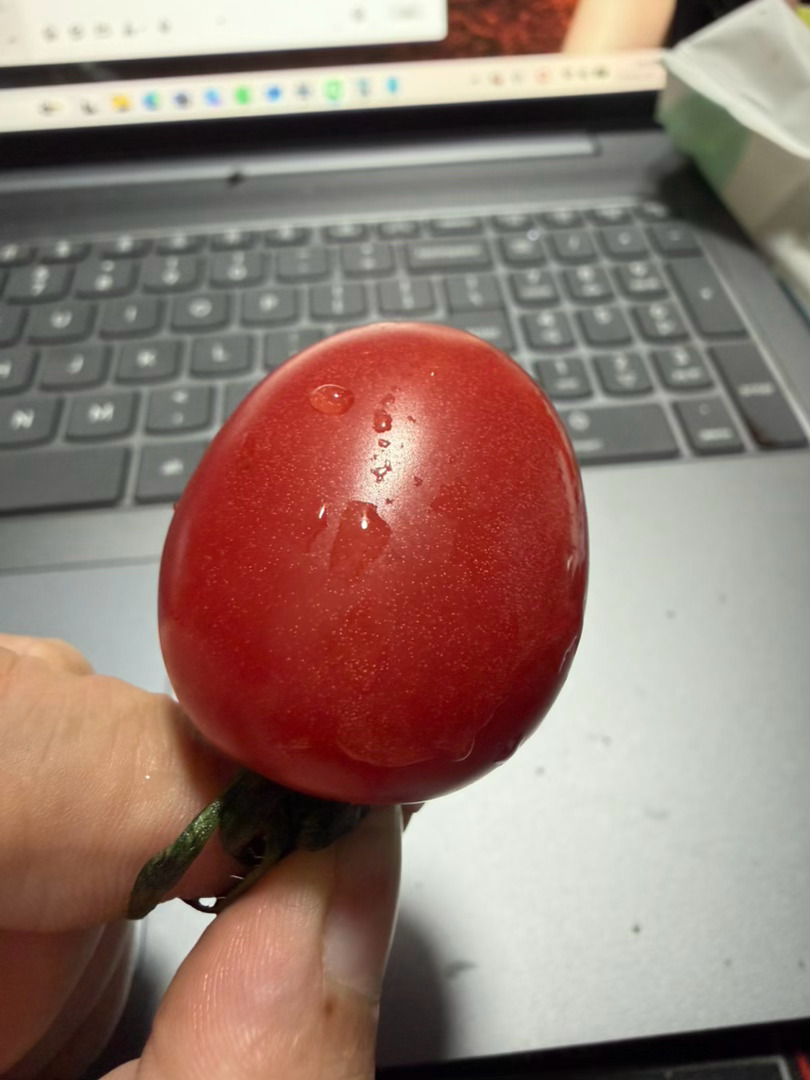 巨大一颗小柿子 