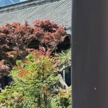 生活手记以善待人，世界便予你温柔。把善意藏在眉眼、融进行动，让每一次相遇都有暖意