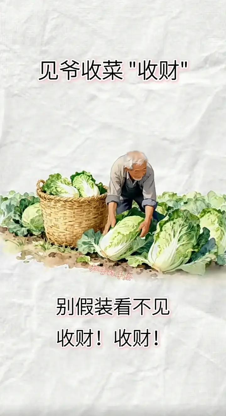 看到老爷爷收菜
收财别走开
莫要假装不见
收财 收财
白菜白菜
百财百财
从今往