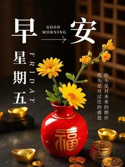 🍃꧂🌞早上好💕᭄🌿☕️
              𝒢𝑜𝑜𝒹 ?