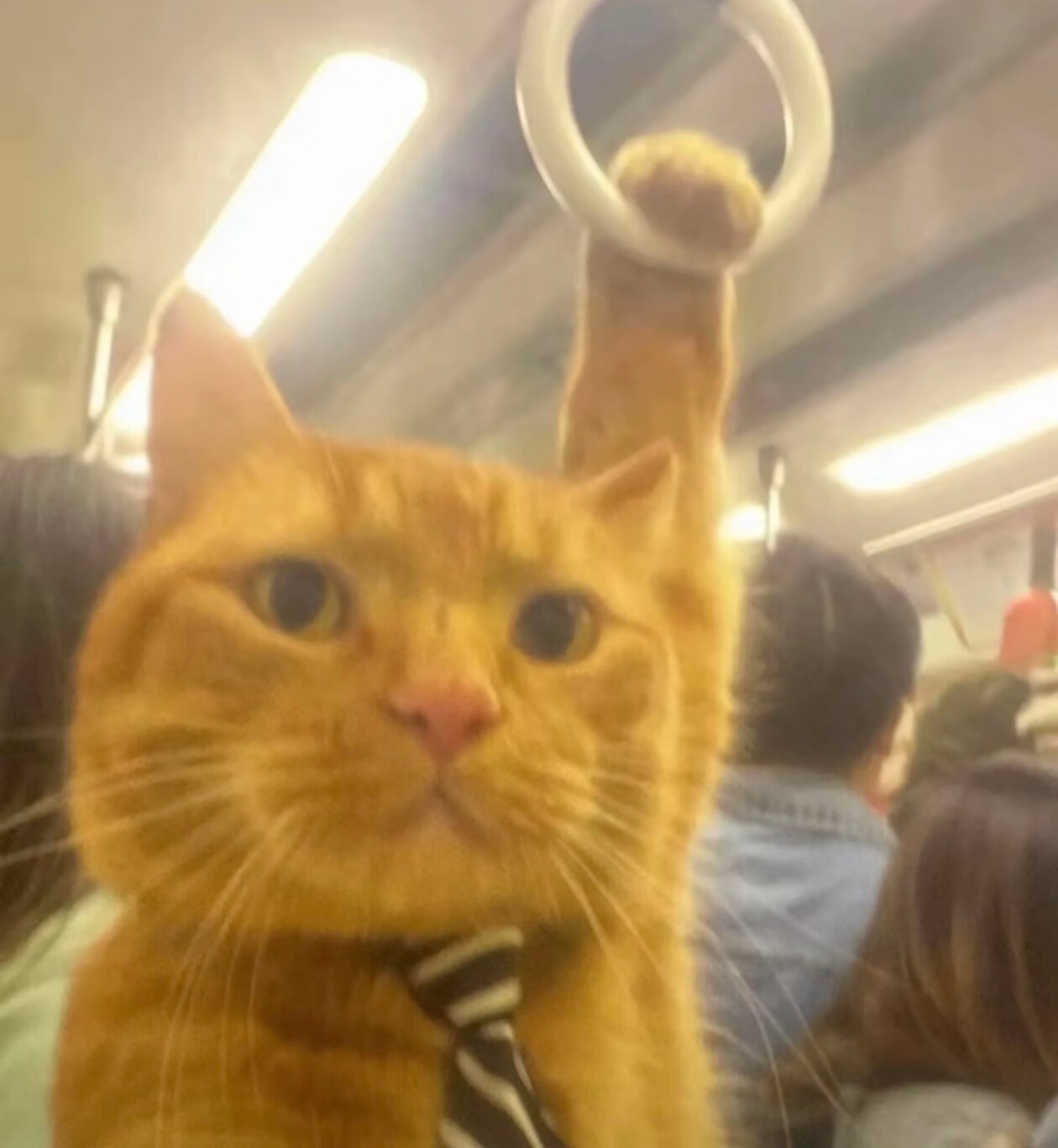 很抱歉各位 由于我的高冷和忧郁导致全国降温下雪了 